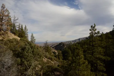 DSC_6244 (Large).JPG